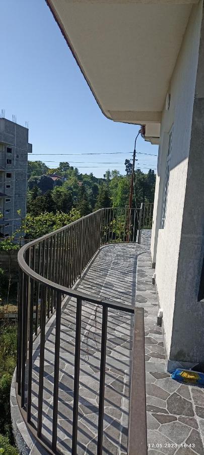 Olesya Guesthouse Mtsvane Kontskhi Kültér fotó